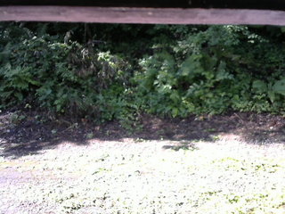 長野県菅平高原 ゆたか山荘 南側 2025/08/04 08:00