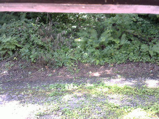 長野県菅平高原 ゆたか山荘 南側 2025/08/04 09:00