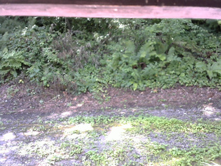 長野県菅平高原 ゆたか山荘 南側 2025/08/04 09:30