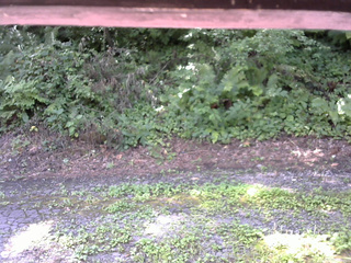 長野県菅平高原 ゆたか山荘 南側 2025/08/04 10:00