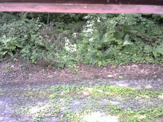 長野県菅平高原 ゆたか山荘 南側 2025/08/04 10:15