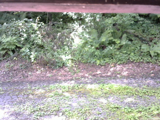 長野県菅平高原 ゆたか山荘 南側 2025/08/04 10:30