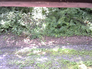 長野県菅平高原 ゆたか山荘 南側 2025/08/04 10:45