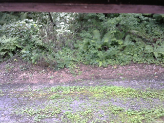 長野県菅平高原 ゆたか山荘 南側 2025/08/04 11:00