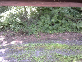 長野県菅平高原 ゆたか山荘 南側 2025/08/04 11:15