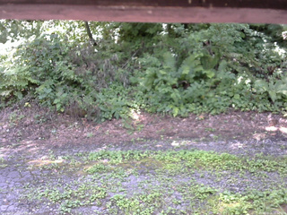 長野県菅平高原 ゆたか山荘 南側 2025/08/04 11:30