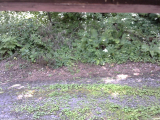 長野県菅平高原 ゆたか山荘 南側 2025/08/04 11:45