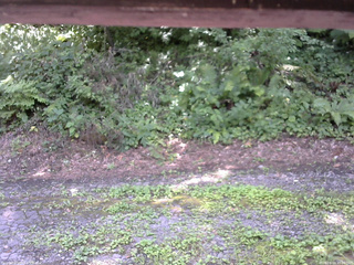 長野県菅平高原 ゆたか山荘 南側 2025/08/04 12:00