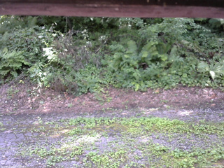 長野県菅平高原 ゆたか山荘 南側 2025/08/04 12:30