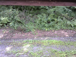 長野県菅平高原 ゆたか山荘 南側 2025/08/04 12:45