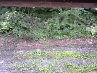 長野県菅平高原 ゆたか山荘 南側 2025/08/04 13:00