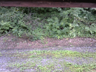 長野県菅平高原 ゆたか山荘 南側 2025/08/04 13:15