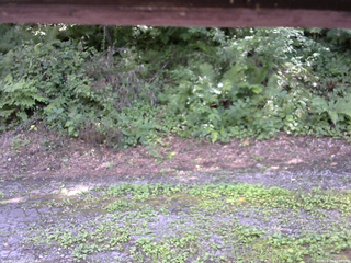 長野県菅平高原 ゆたか山荘 南側 2025/08/04 13:30