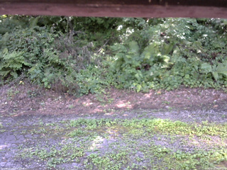 長野県菅平高原 ゆたか山荘 南側 2025/08/04 13:45