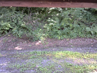 長野県菅平高原 ゆたか山荘 南側 2025/08/04 14:00