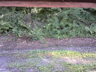 長野県菅平高原 ゆたか山荘 南側 2025/08/04 14:15