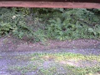 長野県菅平高原 ゆたか山荘 南側 2025/08/04 14:30