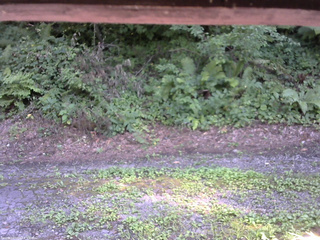 長野県菅平高原 ゆたか山荘 南側 2025/08/04 14:45