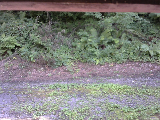 長野県菅平高原 ゆたか山荘 南側 2025/08/04 15:00