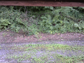 長野県菅平高原 ゆたか山荘 南側 2025/08/04 15:15