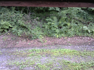 長野県菅平高原 ゆたか山荘 南側 2025/08/04 15:30