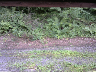 長野県菅平高原 ゆたか山荘 南側 2025/08/04 15:45