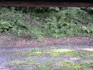 長野県菅平高原 ゆたか山荘 南側 2025/08/04 16:00