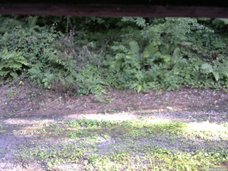 長野県菅平高原 ゆたか山荘 南側 2025/08/04 16:15