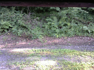 長野県菅平高原 ゆたか山荘 南側 2025/08/04 16:30