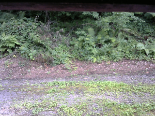 長野県菅平高原 ゆたか山荘 南側 2025/08/04 16:45