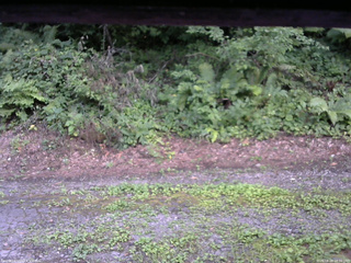 長野県菅平高原 ゆたか山荘 南側 2025/08/04 18:00