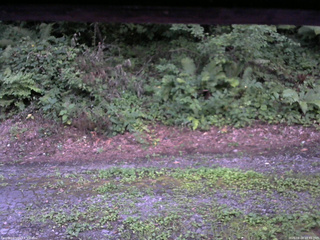 長野県菅平高原 ゆたか山荘 南側 2025/08/04 18:45