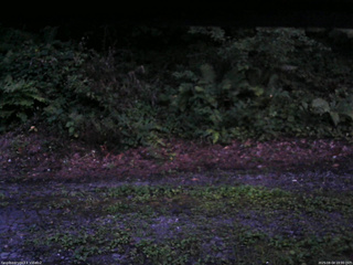 長野県菅平高原 ゆたか山荘 南側 2025/08/04 19:00