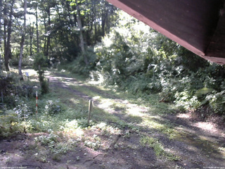 長野県菅平高原 ゆたか山荘 東側(坂下) 2025/08/04 08:00