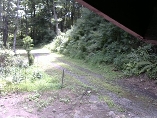 長野県菅平高原 ゆたか山荘 東側(坂下) 2025/08/04 11:00