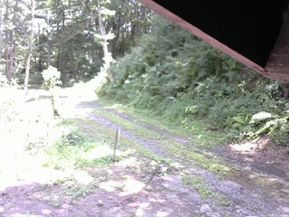 長野県菅平高原 ゆたか山荘 東側(坂下) 2025/08/04 12:00