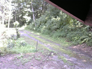 長野県菅平高原 ゆたか山荘 東側(坂下) 2025/08/04 13:30