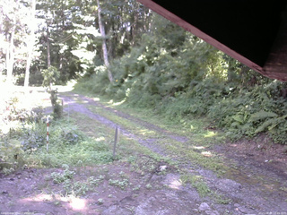 長野県菅平高原 ゆたか山荘 東側(坂下) 2025/08/04 13:45