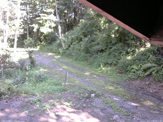 長野県菅平高原 ゆたか山荘 東側(坂下) 2025/08/04 14:15