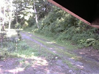 長野県菅平高原 ゆたか山荘 東側(坂下) 2025/08/04 14:30