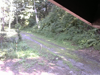 長野県菅平高原 ゆたか山荘 東側(坂下) 2025/08/04 14:45