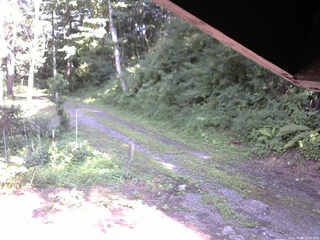 長野県菅平高原 ゆたか山荘 東側(坂下) 2025/08/04 15:00