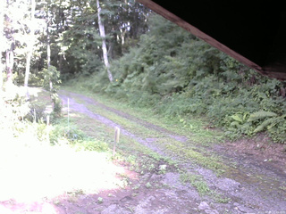 長野県菅平高原 ゆたか山荘 東側(坂下) 2025/08/04 15:45