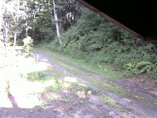 長野県菅平高原 ゆたか山荘 東側(坂下) 2025/08/04 16:15