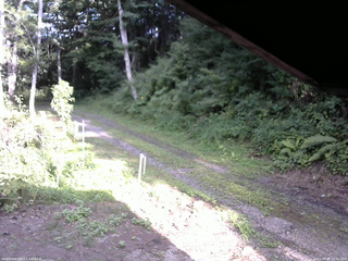 長野県菅平高原 ゆたか山荘 東側(坂下) 2025/08/04 16:45