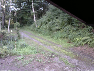 長野県菅平高原 ゆたか山荘 東側(坂下) 2025/08/04 17:30