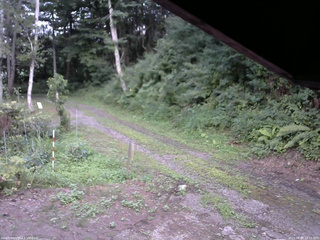 長野県菅平高原 ゆたか山荘 東側(坂下) 2025/08/04 18:15