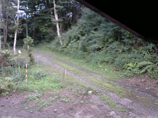 長野県菅平高原 ゆたか山荘 東側(坂下) 2025/08/04 18:30