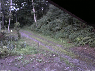 長野県菅平高原 ゆたか山荘 東側(坂下) 2025/08/04 18:45