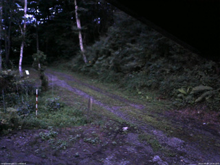 長野県菅平高原 ゆたか山荘 東側(坂下) 2025/08/04 19:00